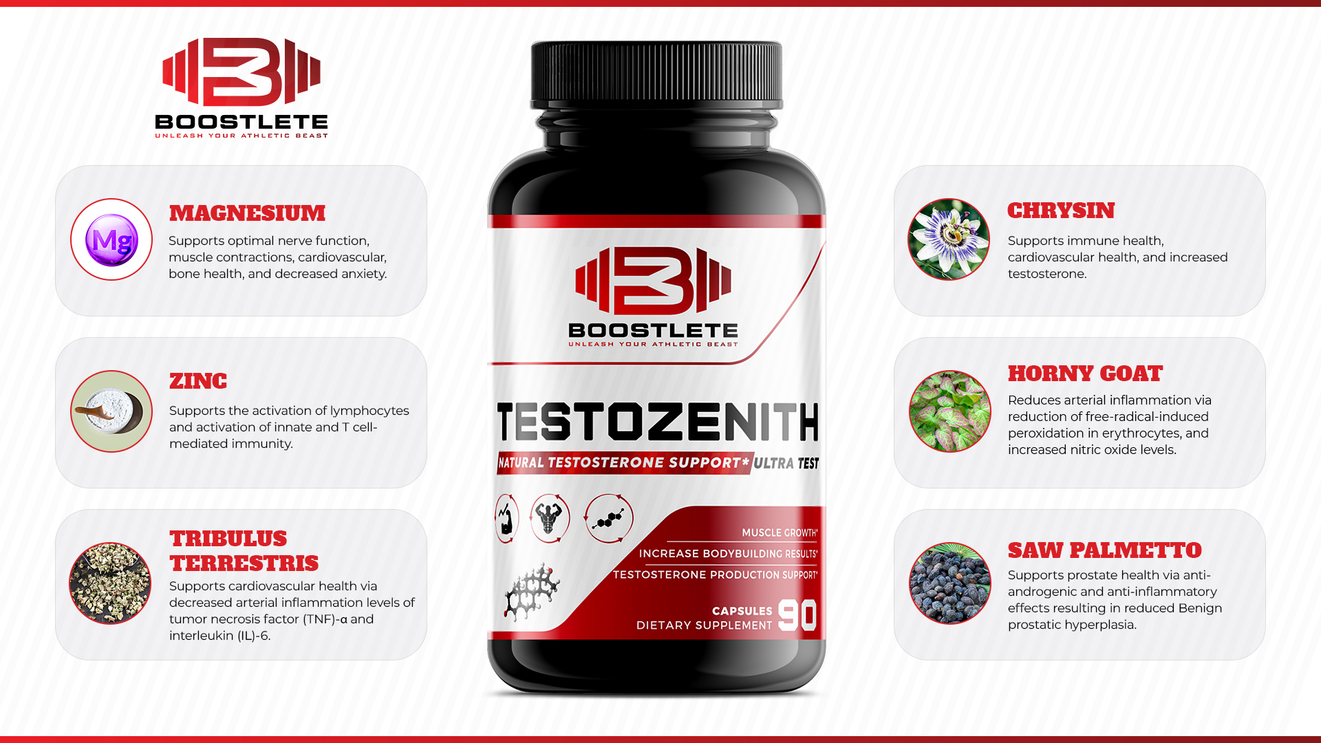 TestoZenith - Image 3